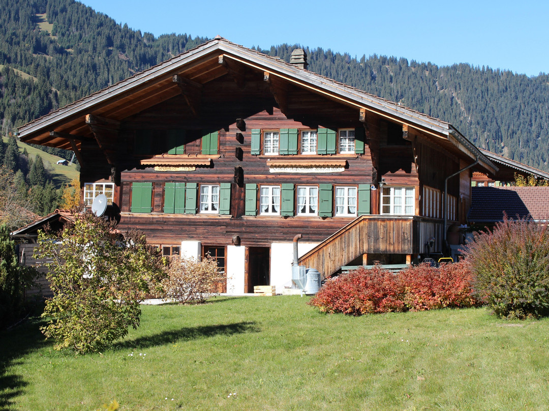 Chalet Hotel Alpenblick Wildstrubel主图