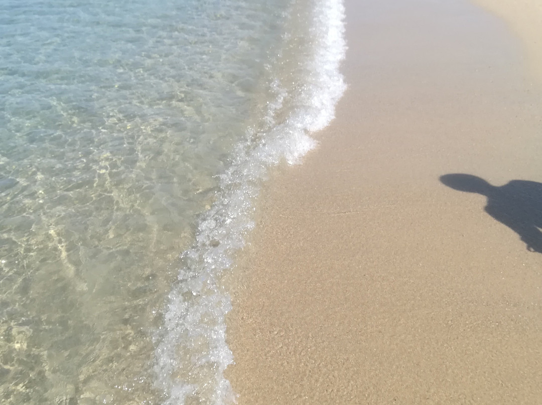 Spiaggia dell'Isolotto-帕劳必去景点