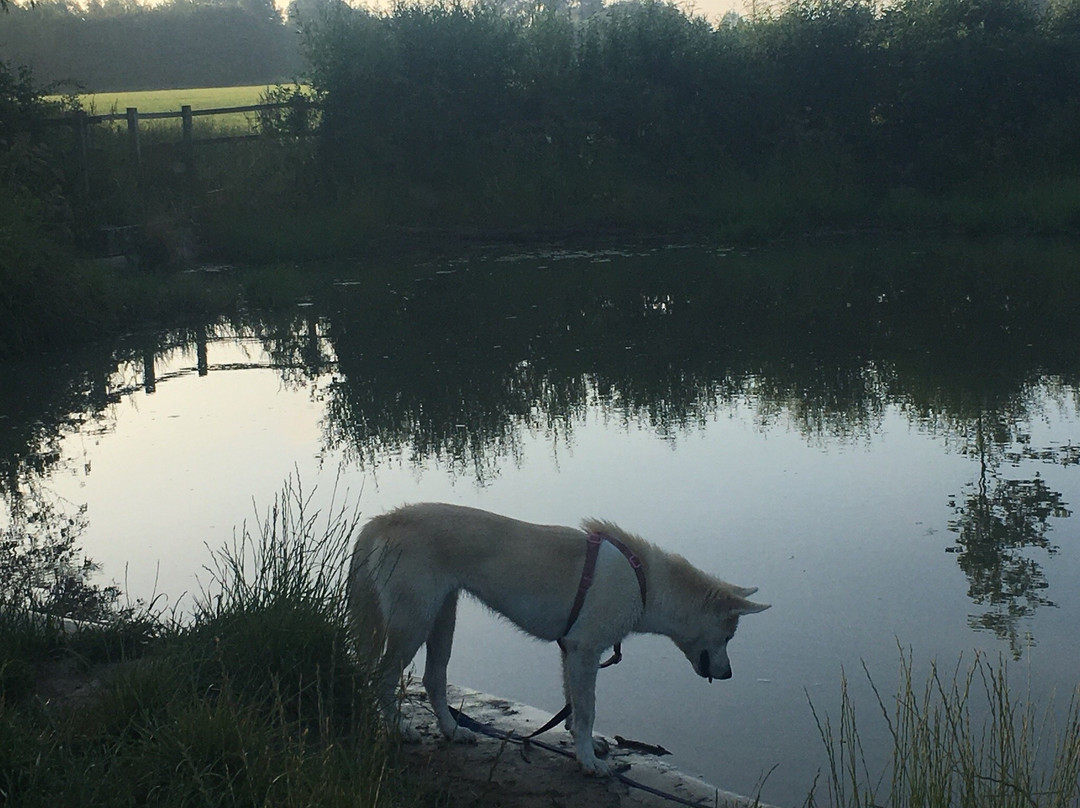 Southwick Country Park景点图片