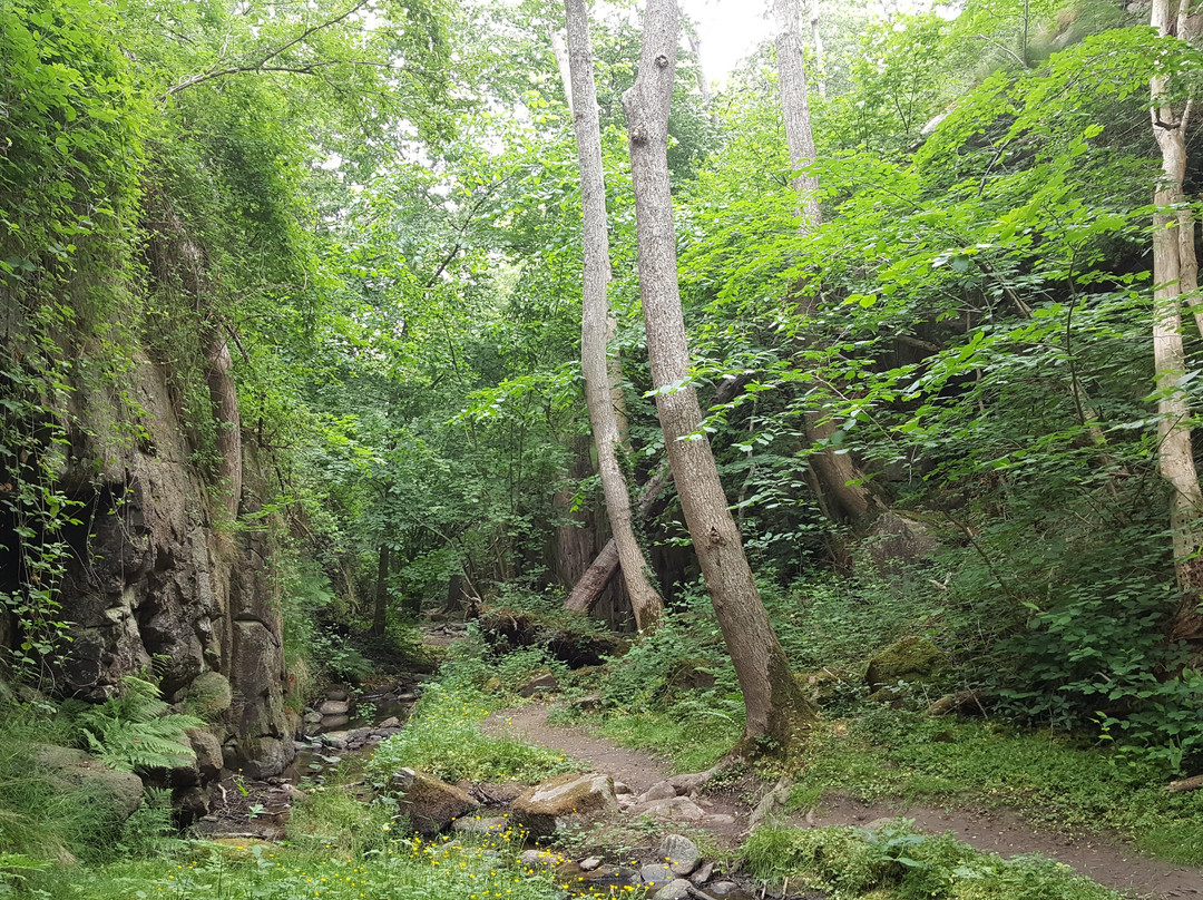 Svartingedalen-Rutsker必去景点