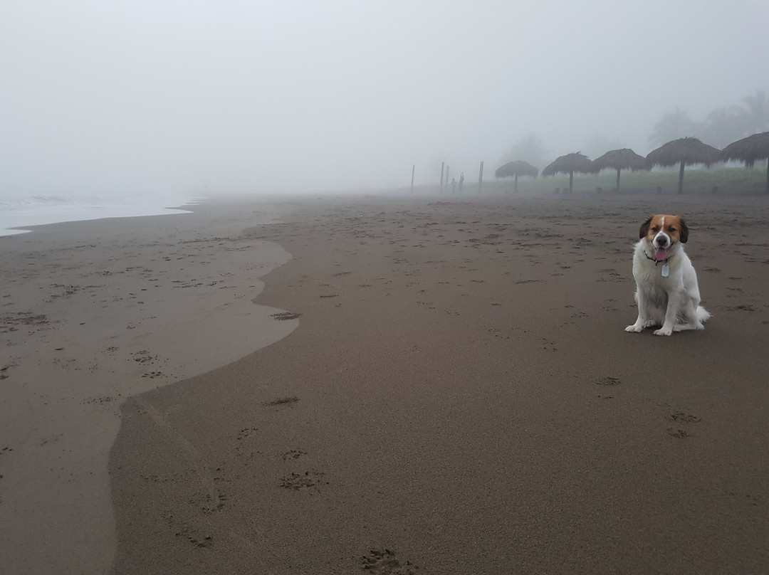 Hotel Torre Molino主图