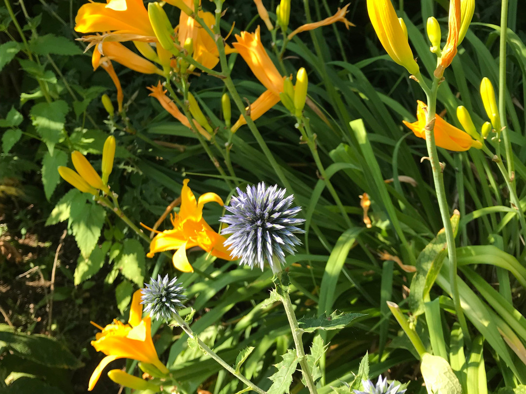 Genelle House B&B Guest House主图