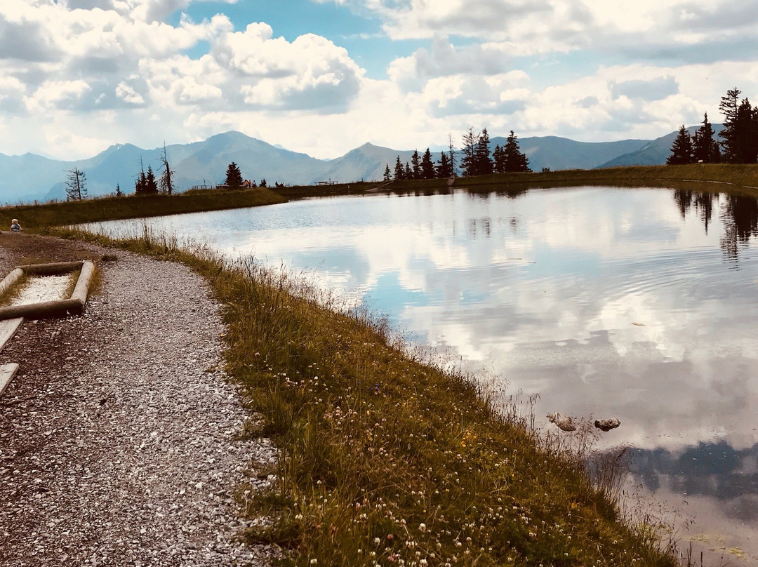 Barfussweg am Spiegelsee Fulseck景点图片