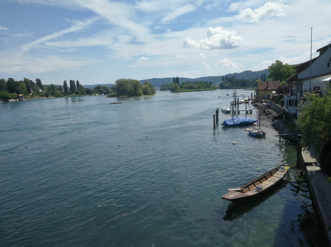 Rheinpirates景点图片