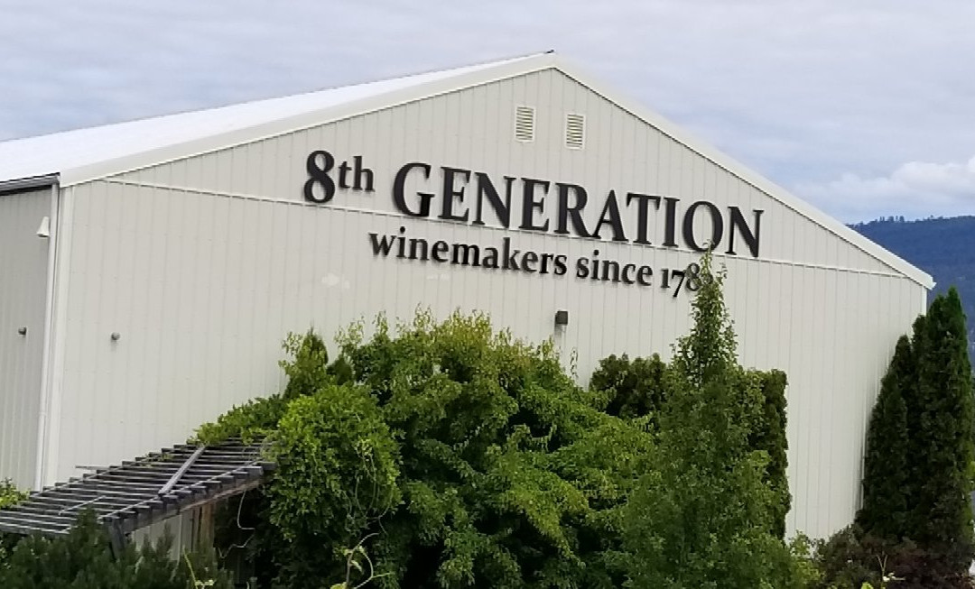8th Generation Vineyard景点图片