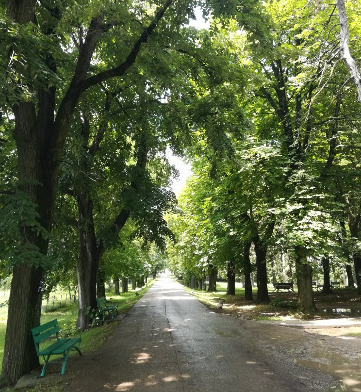 Caldarusani Monastery景点图片