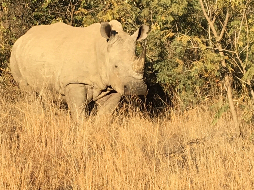 Bhubeza Safaris-匹兰斯堡国家公园必去景点