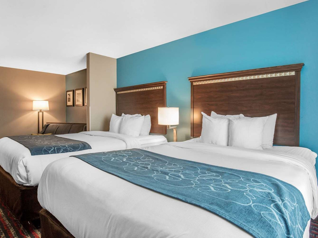 Comfort Suites主图