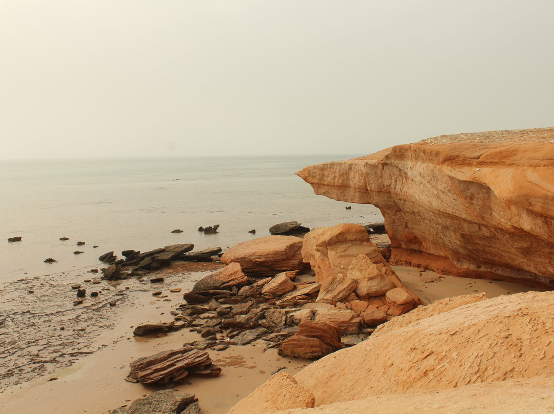 Shuweihat Island-Ruwais必去景点