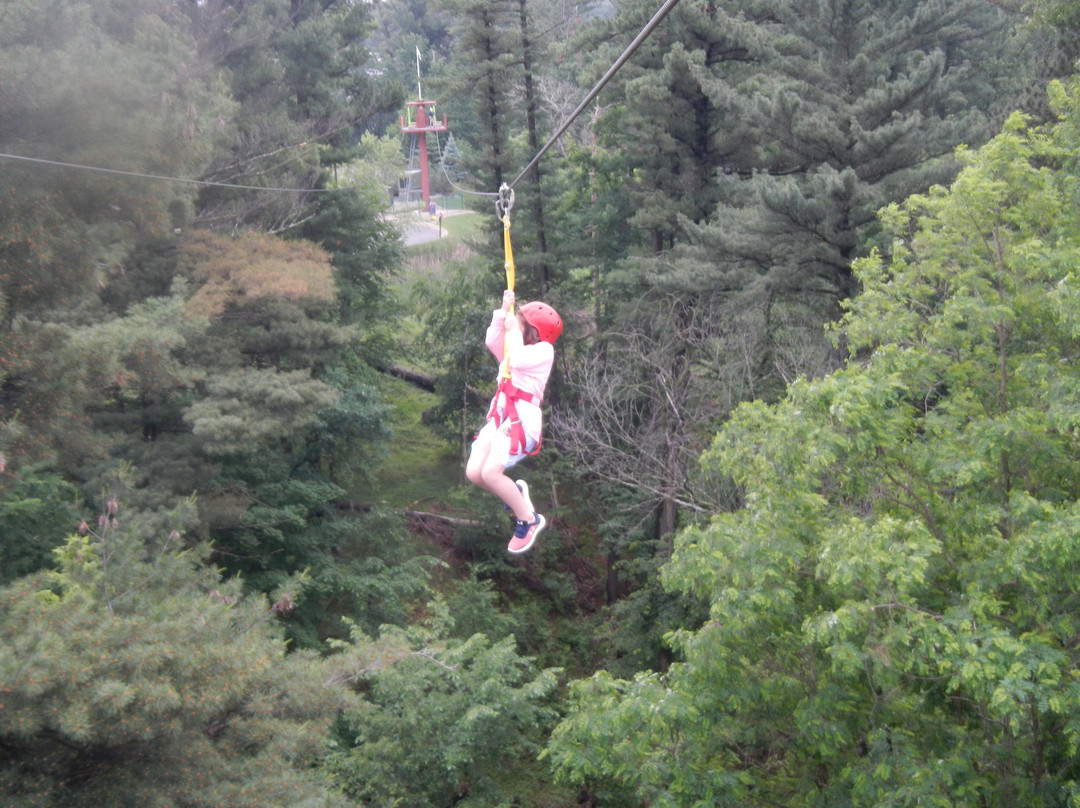 Wilderness Canyon Zip Line Tour景点图片