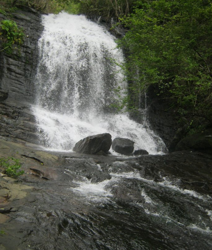 Pattathipara Waterfall景点图片