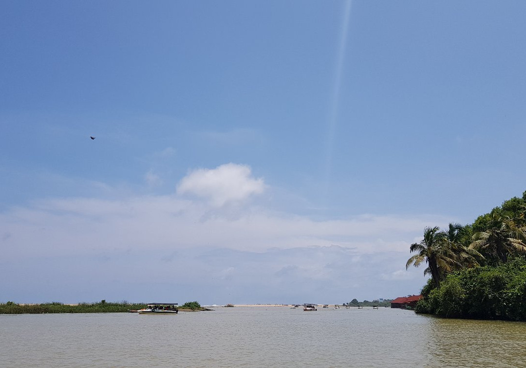 Poovar Backwater Cruise景点图片