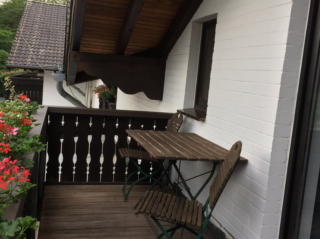 Landhotel Linden Am Venekotensee主图