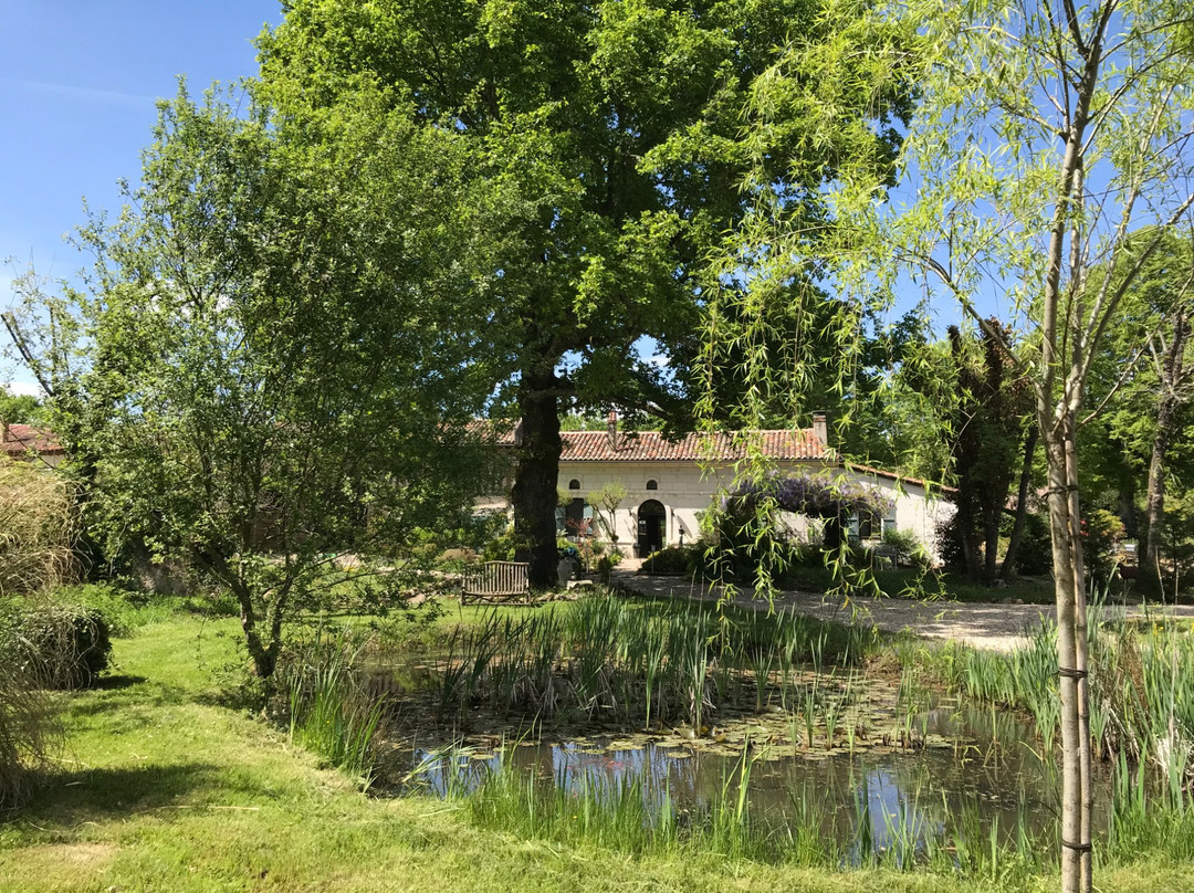 Les Vieilles Vignes主图