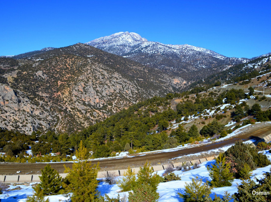 Travel on Turkey - Day Tours景点图片