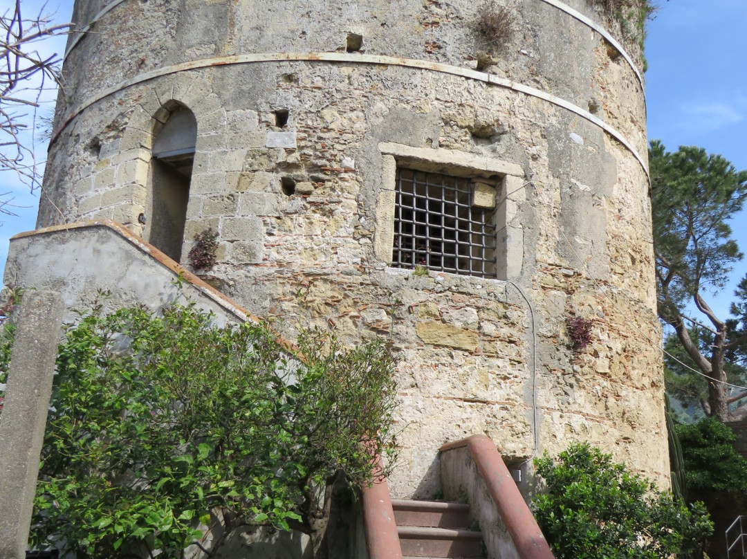 Castello di Castroreale景点图片