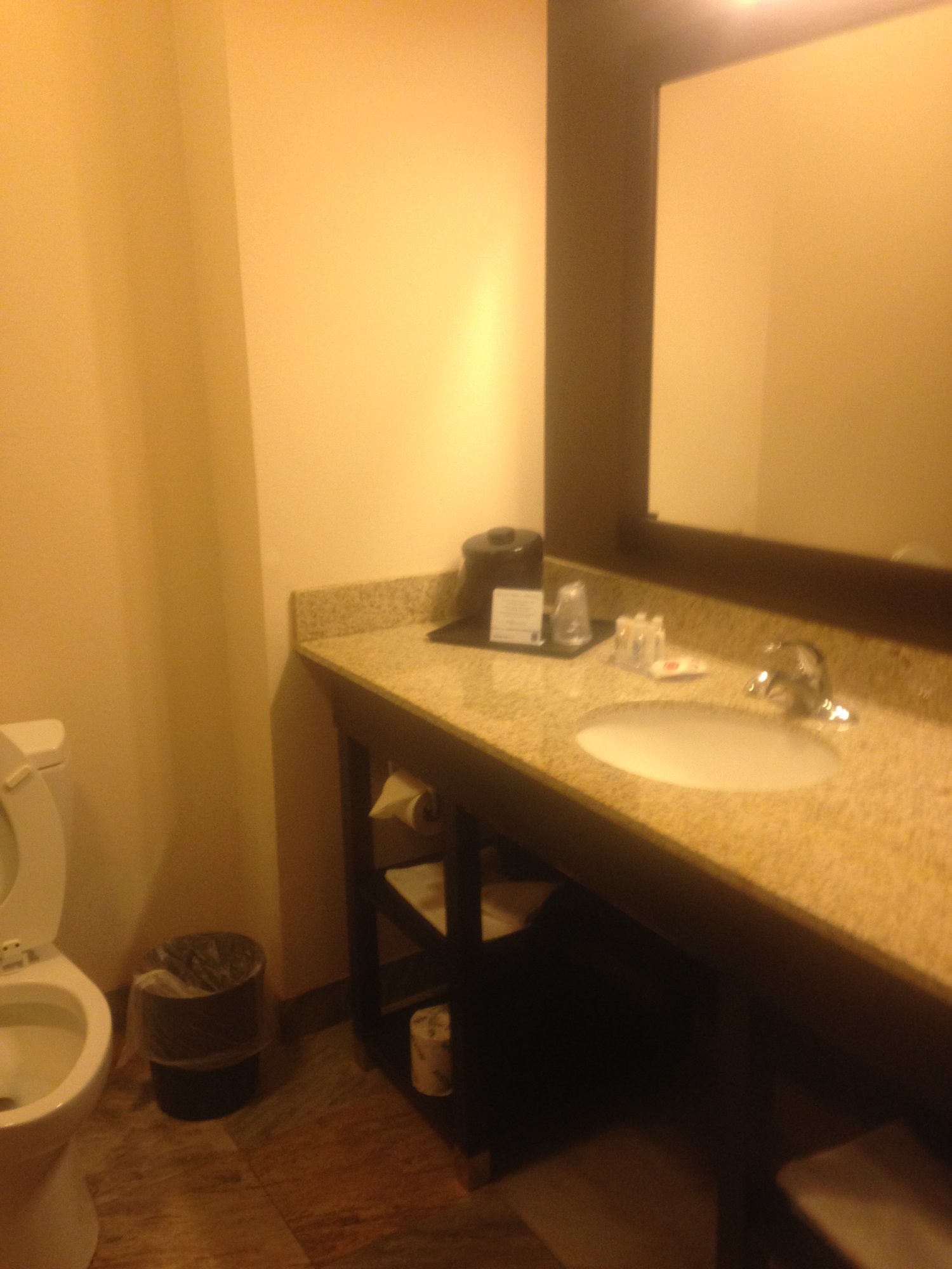Comfort Suites Dodge City-浴室