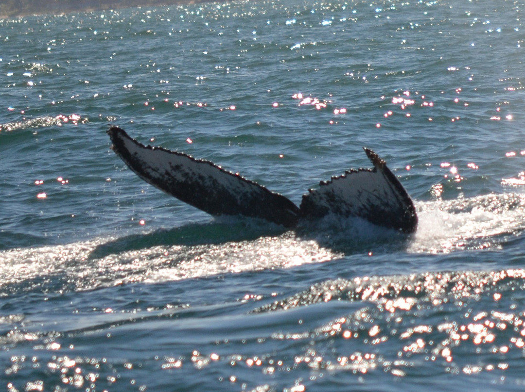 Bahia Vacations Private Tours-萨尔瓦多必去景点