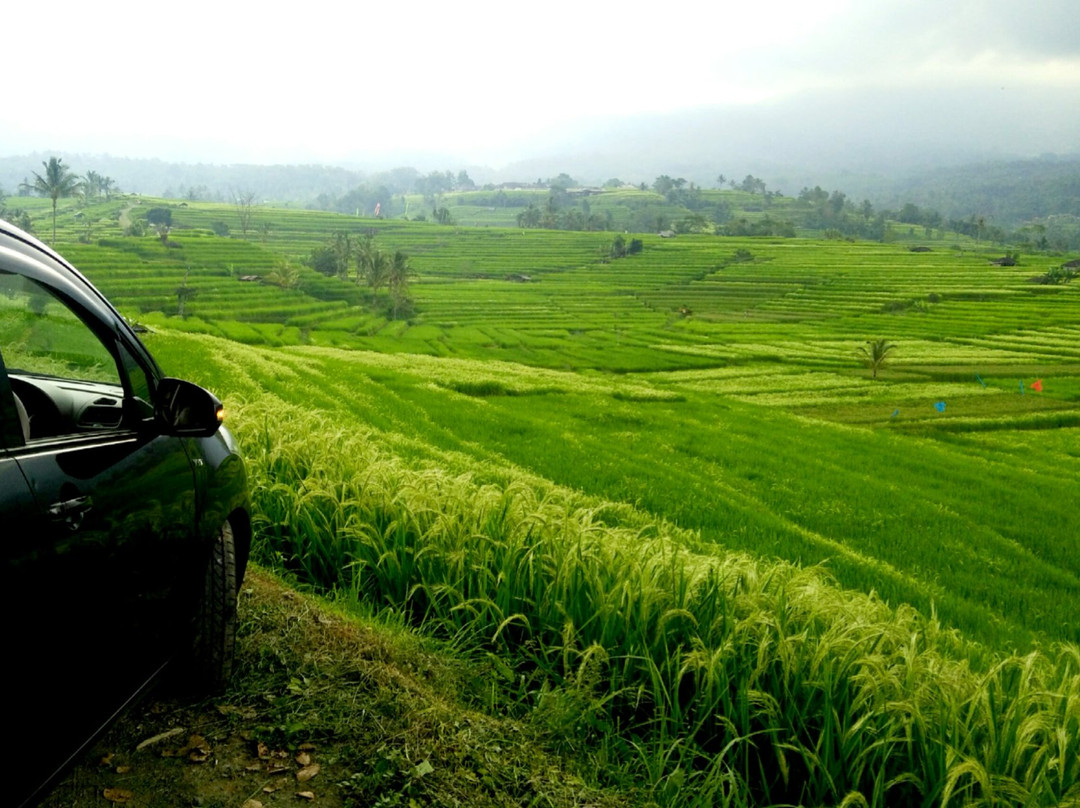 Gede Private Driver - Day Tours-达巴南必去景点