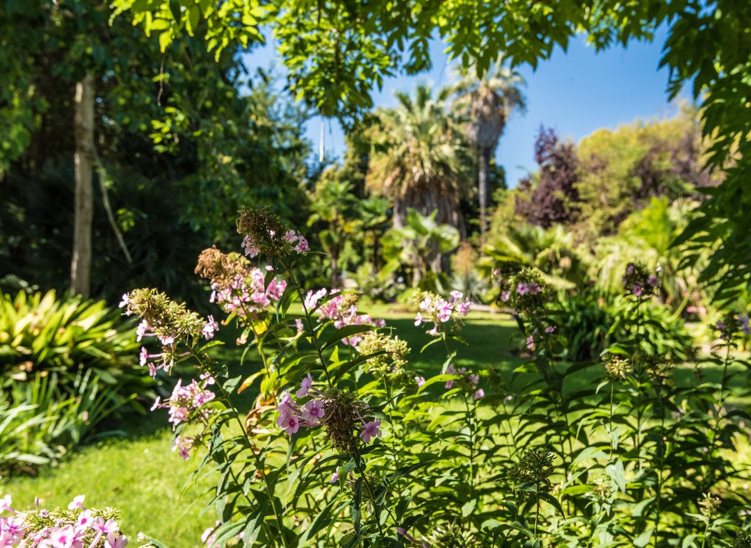 Jardin des plantes des Capellans景点图片