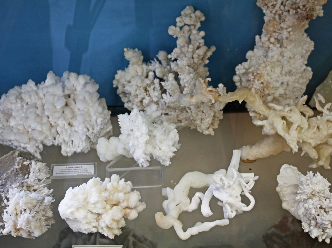 Central Siberian Geological Museum-新西伯利亚必去景点