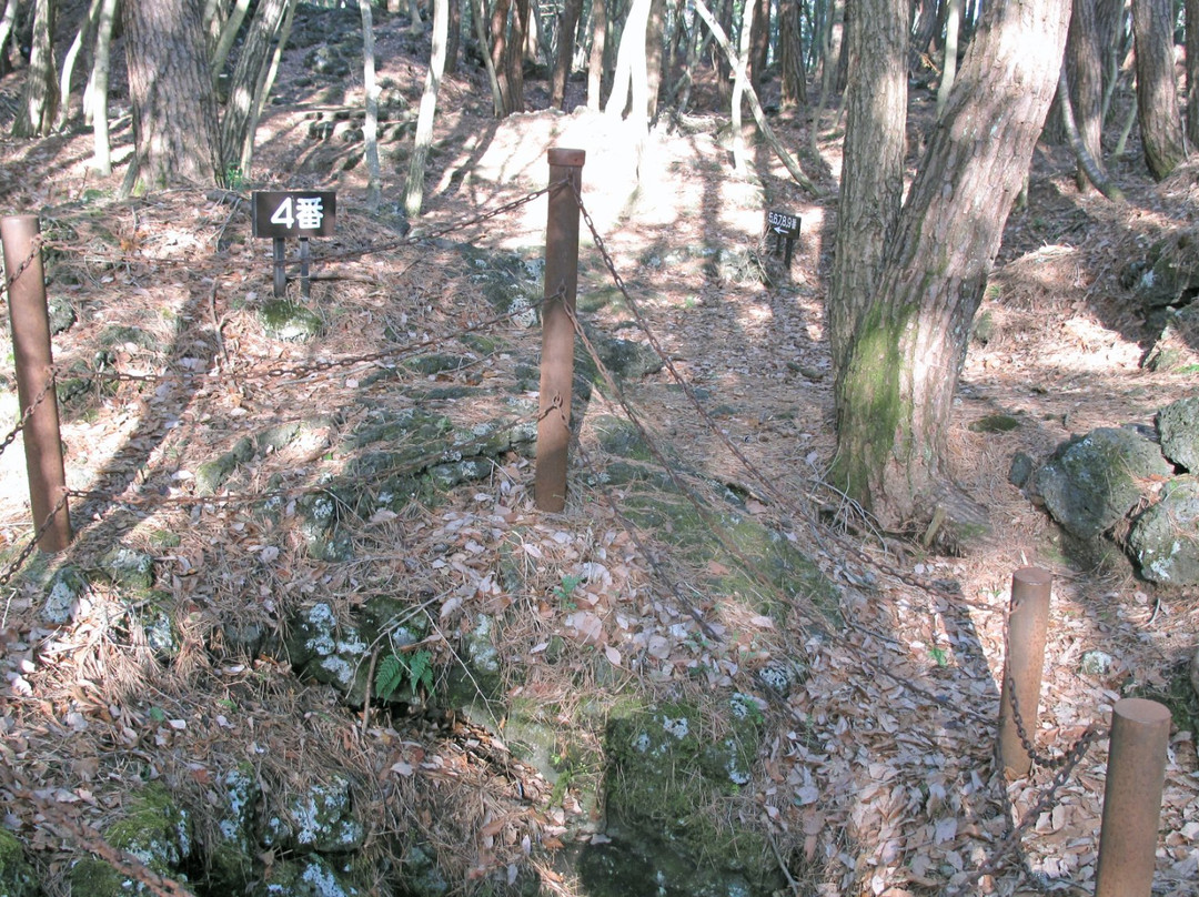 Narusawa's Tree Form Lava景点图片