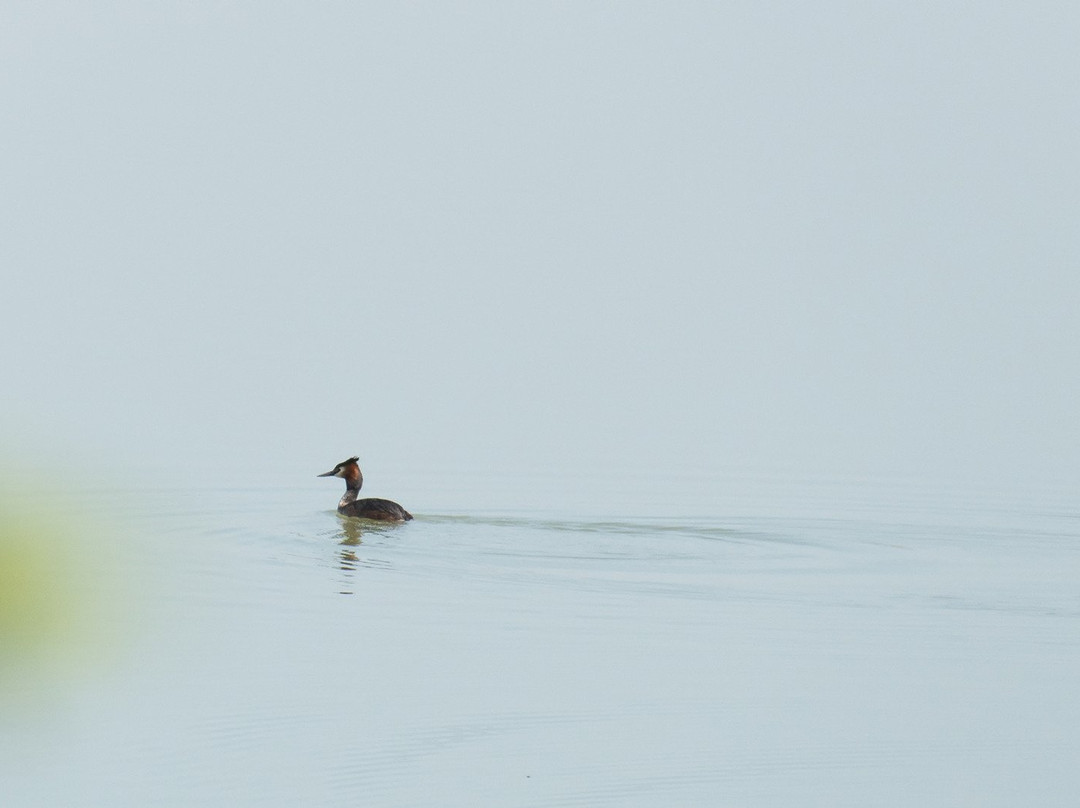 Riserva naturale regionale Lago di Santa Luce景点图片