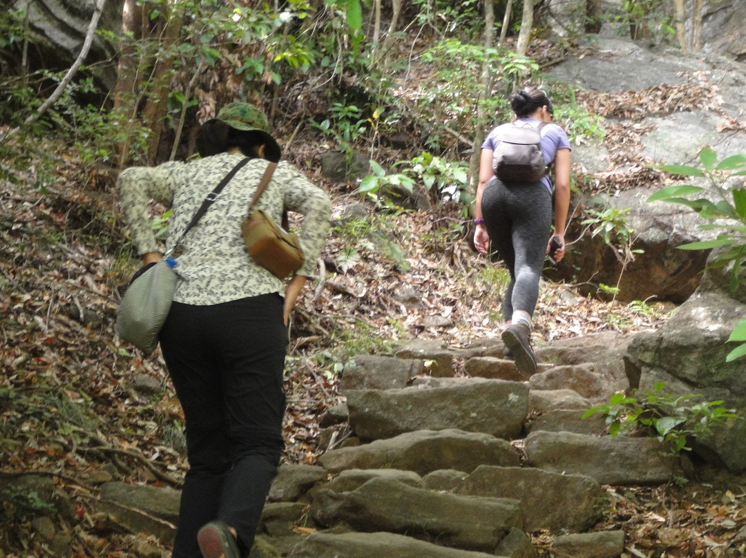 Sri Lanka Knuckles Trekking景点图片