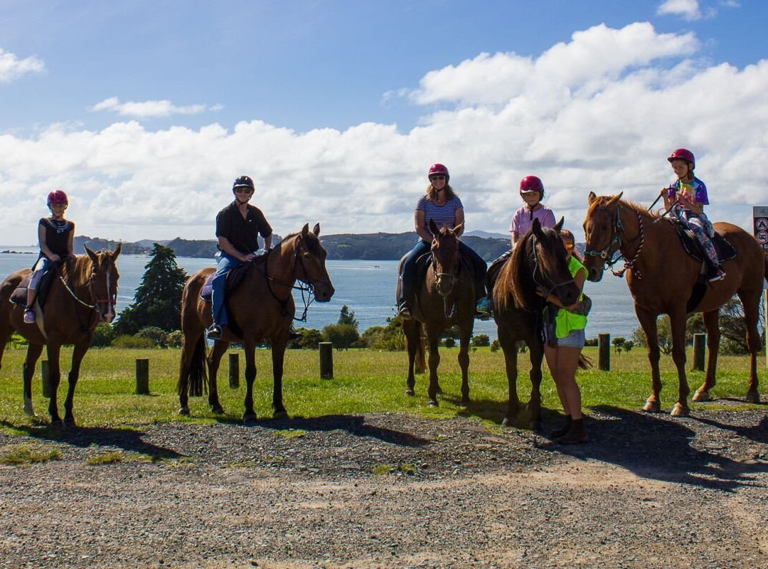 Horse Trek'n-派希亚必去景点
