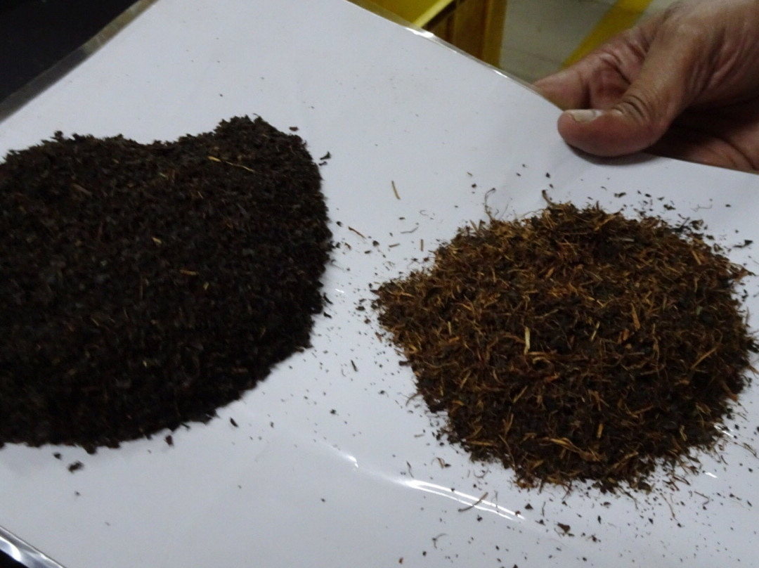 Orange Field Tea Factory景点图片