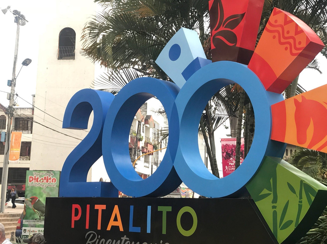 Alcaldia de Pitalito-Pitalito必去景点