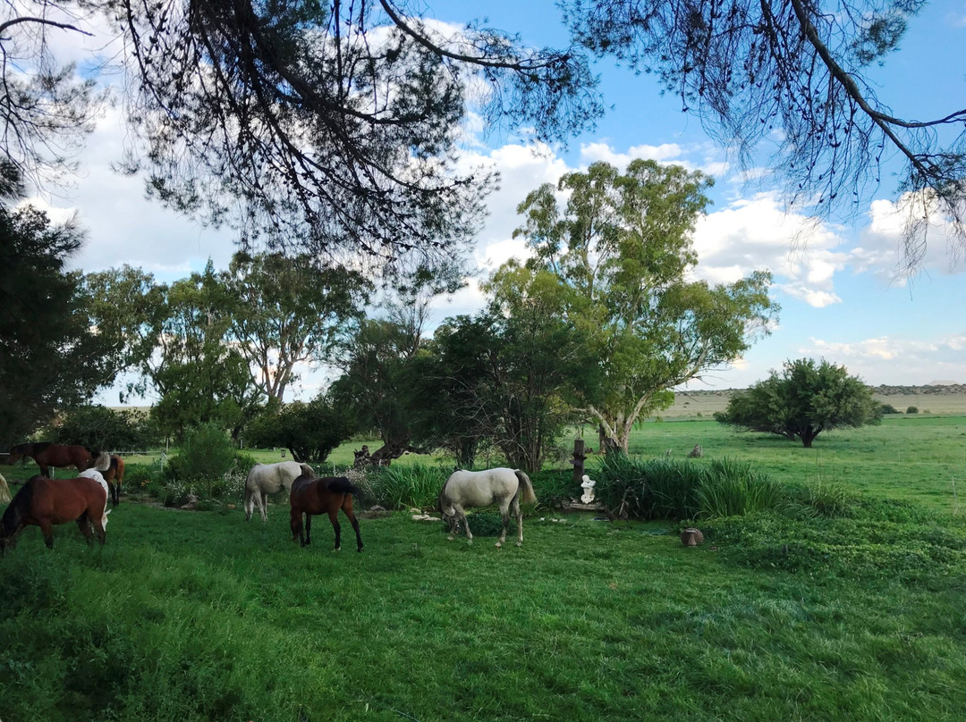 Garingboom Guest Farm主图