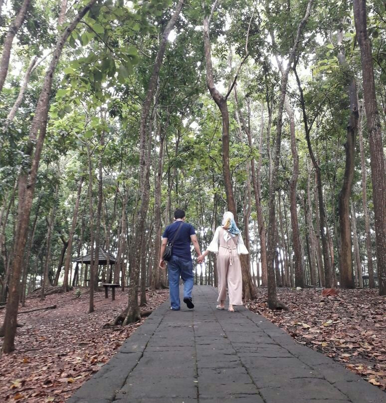 Bali Vacations Tour Organizer-登巴萨必去景点