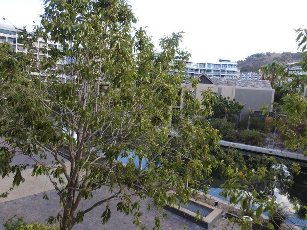 African Elite de Waterkant-酒店景观