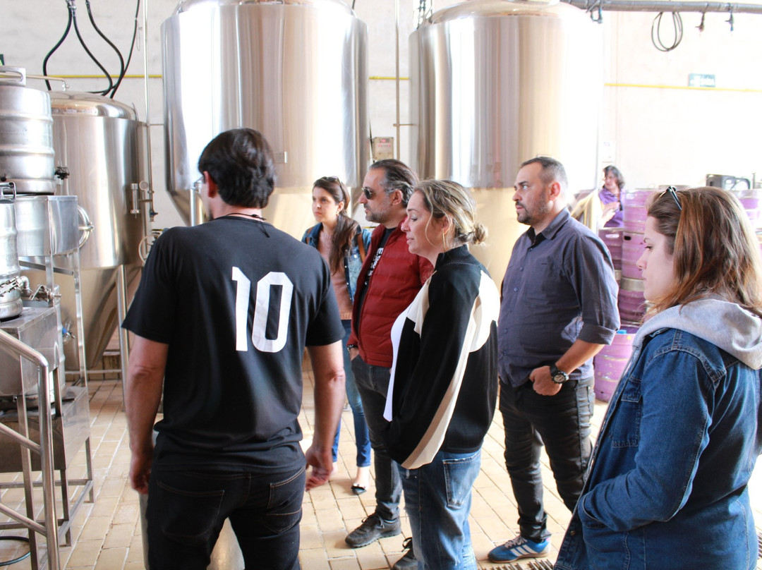 Experimente Minas-Brumadinho必去景点