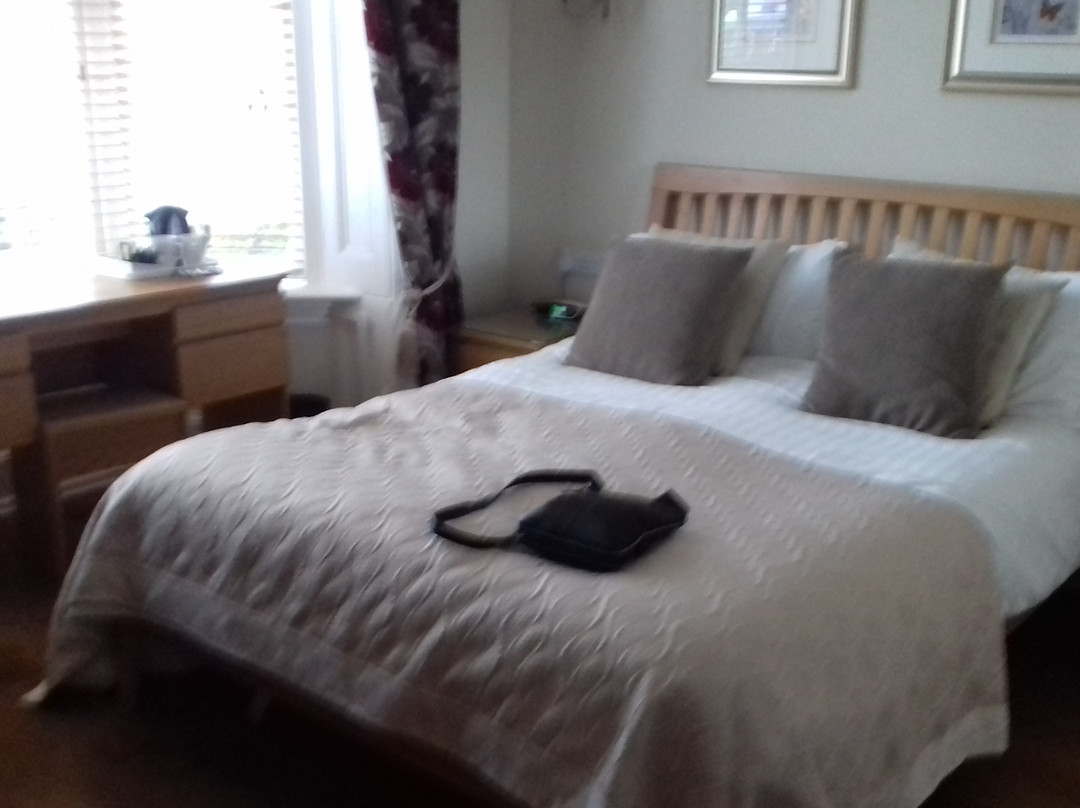 Brayford Guest House主图