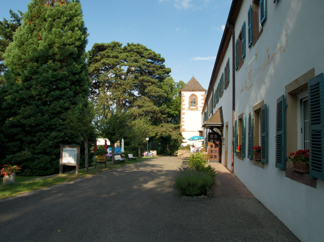 Chateau du Liebfrauenberg主图