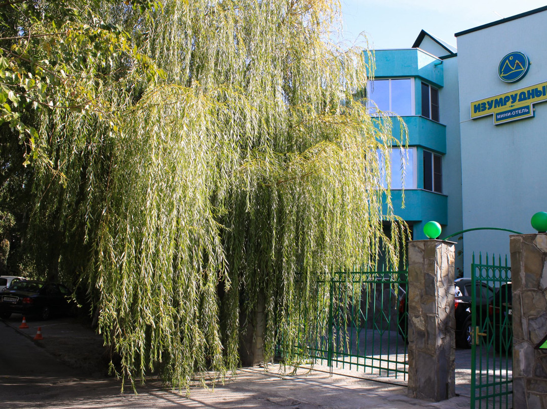 Mini-Hotel Izumrudny主图