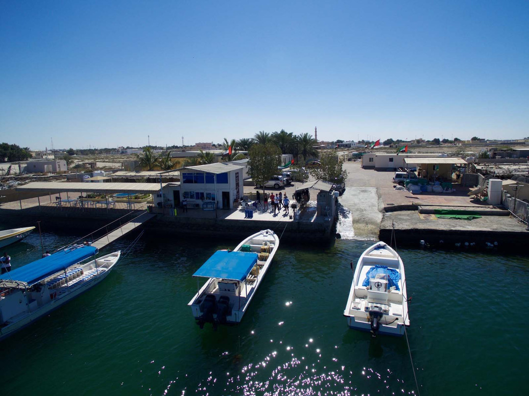 Al Jazeera Diving & Swimming Center-哈伊马角必去景点
