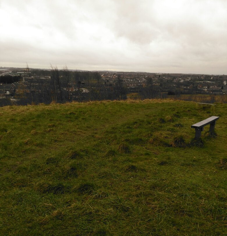 Brierley Forest Park景点图片