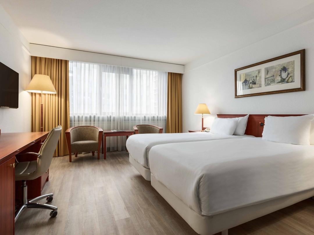 NH马斯特里赫特主图