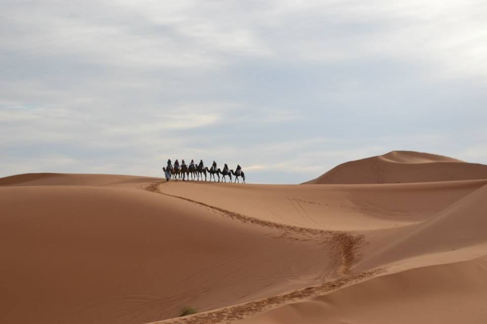 Morocco Magic Tours-非斯必去景点