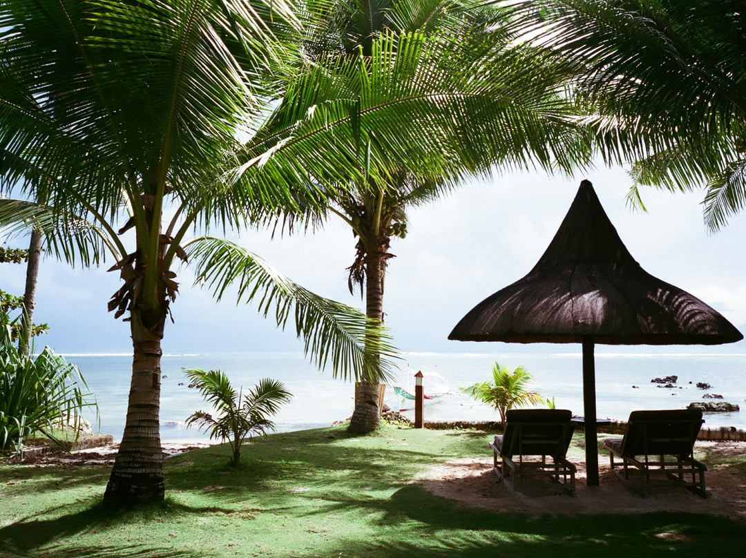 Greenhouse Siargao主图