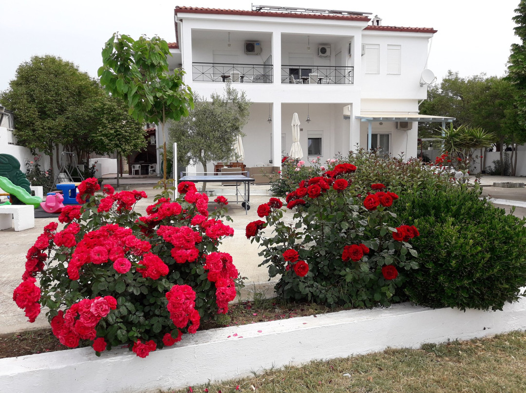 Apocalypsis Studios-Apartments