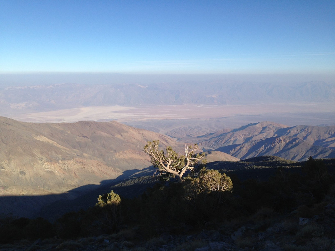 Wildrose Peak Trail-死亡谷国家公园必去景点