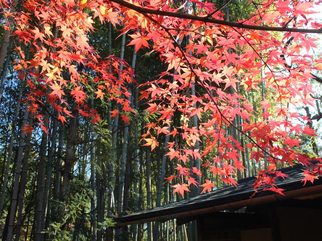 Shokado Garden Art Museum-八幡市必去景点