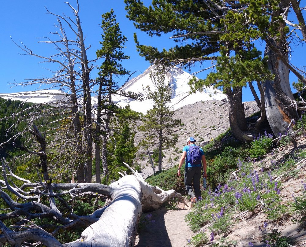 Cooper Spur Hike-胡德里弗必去景点