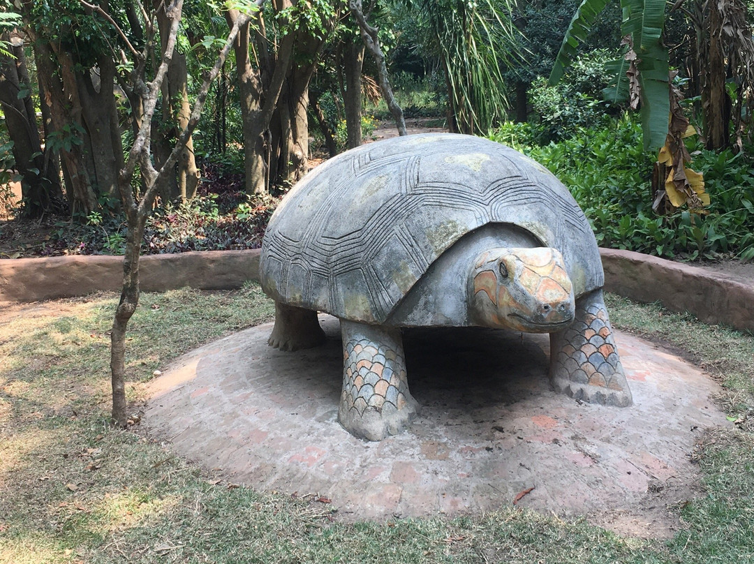 Parque Ecologico Yvaga Guazu - Paraiso Grande-圣克鲁斯省必去景点