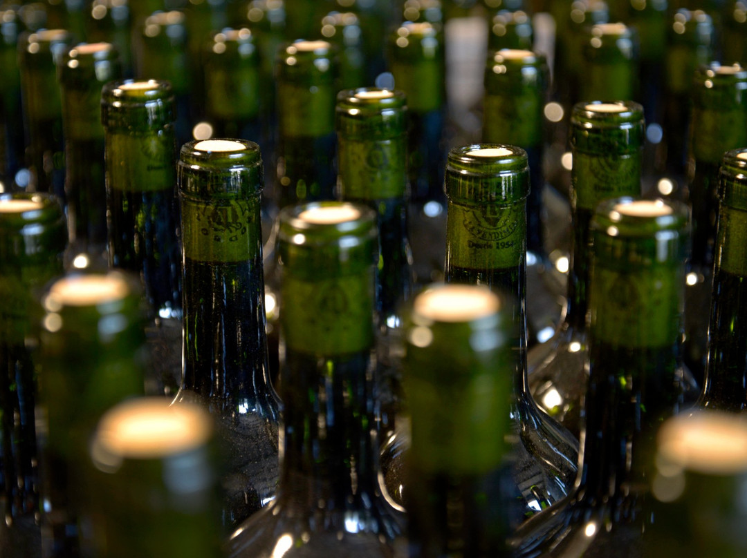 Bodega La Vendimia S.A.-圣拉斐尔必去景点