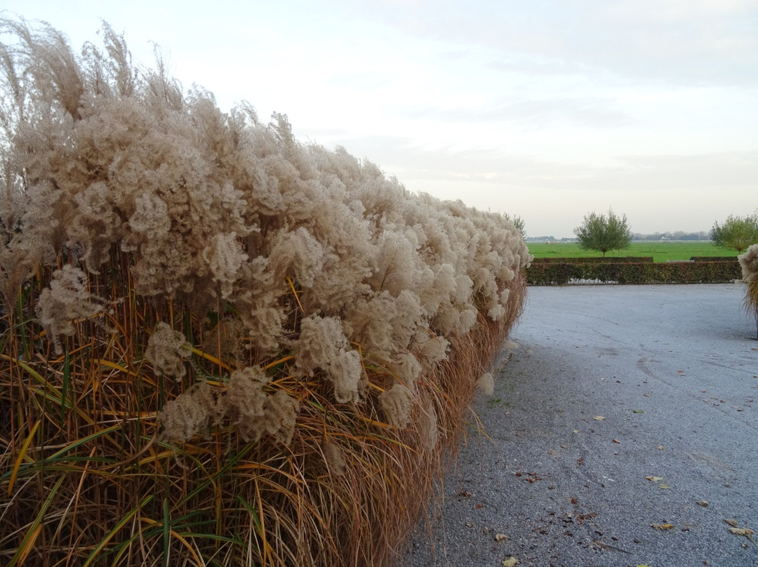 voormailge Pieterskerk Eemnes of "Het Dikke Torentje"-Eemnes必去景点